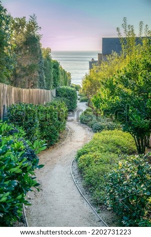 La Jolla, California- Sloped pathway in between bushes leading to the beach. Walkway near the wooden fence on the left across the beach houses on the right.