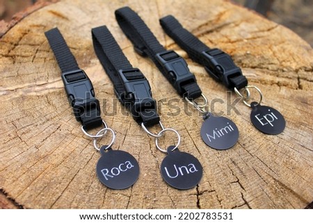 Black Dog Collars With Name Tags Royalty-Free Stock Photo #2202783531