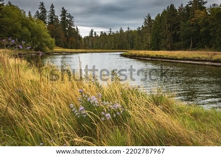 Beautiful summer landscape of a meadow near river and forest. Scenic rural landscape. Autumn natural background in British Columbia Canada. Travel photo, nobody, selective focus Royalty-Free Stock Photo #2202787967