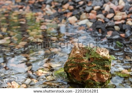 A Rare Photo Of An Old Rock Covered With Moss In A River With Pure, Clean, Transparent Water That Reflexes The River Bottom Which Is Coated With Beautiful Colorful Stones.