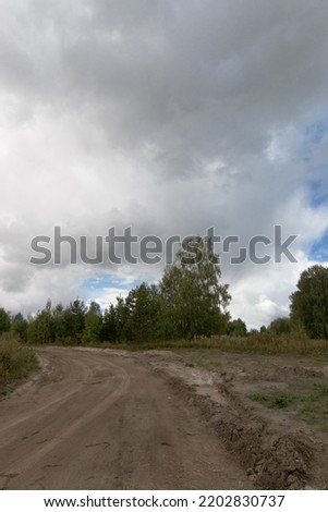 Autumn landscape. Green leaves on tree branches against a gray sky. In the foreground is a sandy, country road. Outdoors.
