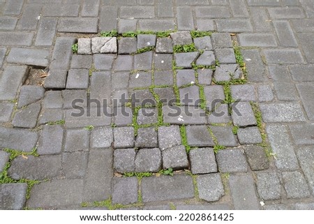 Photo of the partially damaged paving floor and the gaps are overgrown with green grass.