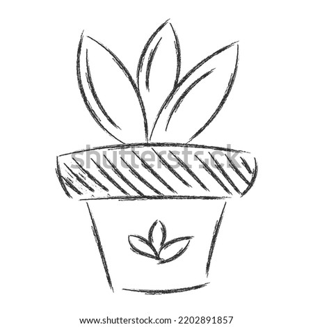 Flower in pot, black line sketch on a white background. Vector drawing lines