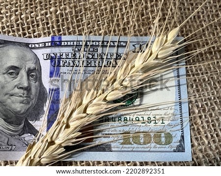 Dollar bills and wheat stalks are on the table.