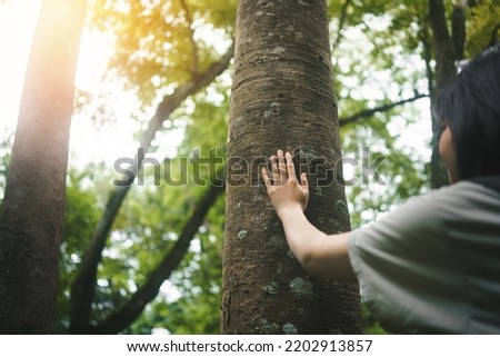 Human hand or young woman touching tree in the forest  in concept of people love nature and  tree to protect from deforestation and pollution or climate change