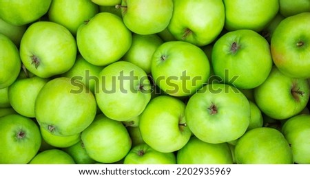 Green apples background. Lots of homemade natural apples. Healthy organic fresh food. Proper nutrition and vitamins.