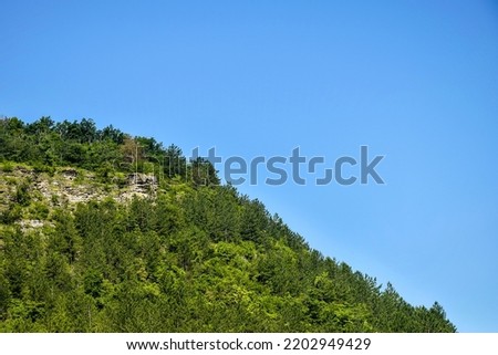 Picturesque mountainside against clear blue sky. Mountain slope is covered with green coniferous forest. Copy space. Selective focus.