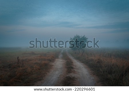 Rural foggy road in the morning autumnal landscape.
