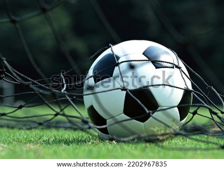 Soccer ball into the goal. Soccer ball bends the net, against the background 
