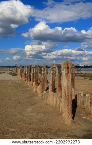 The photo was taken near the city of Odessa in Ukraine. The picture shows the remains of a wooden pier on a salty estuary called Kuyalnik.