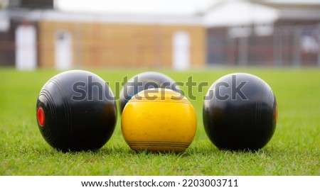 Crown green bowling ball clustered around the yellow Jack as the bowlers try to win the competition by bowling nearest the Jack.