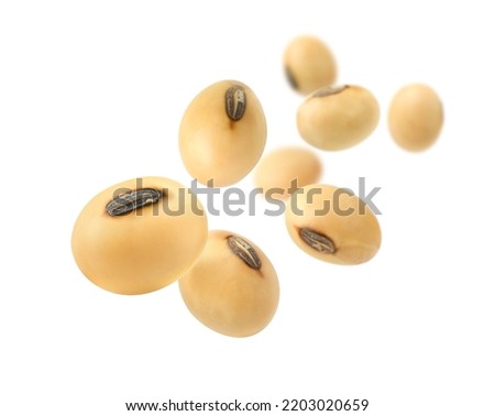 Soybeans levitate isolated on a white background. Royalty-Free Stock Photo #2203020659