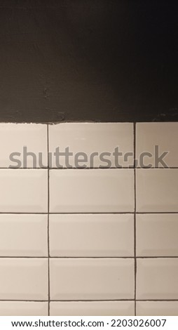 White subway style ceramics for toilet wall