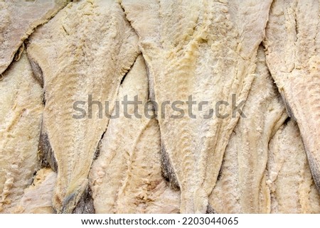 Pieces of salted cod on market stall. Sao Paulo, Brazil