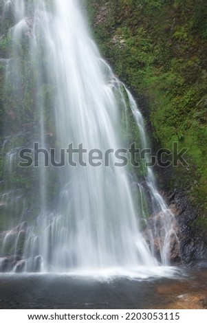 natural waterfall from the mountain, natural water