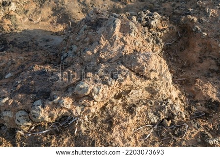 Photo of the rocks formation in Putzu Idu, Sardinia, shooted in the morning, 8-9AM. Rocky coastline. 