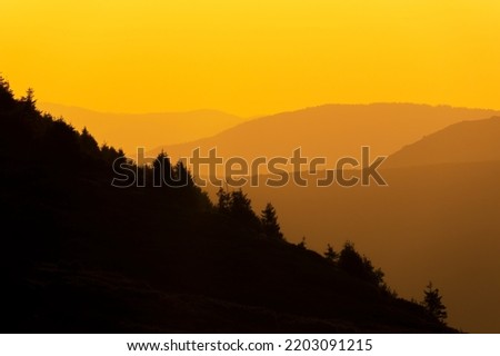 Colorful mountains at the sunset with dark slope and trees on the foreground