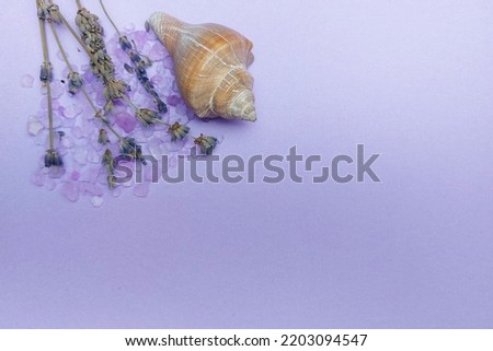 Layout on a purple background. Lavender, purple bath salt, shell. Place text. Space copy. High quality photo