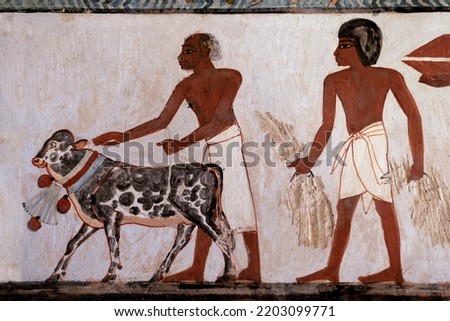 Detail from the Tomb of Menna . offering scene .Valley of the Nobles . Luxor .Egypt . Royalty-Free Stock Photo #2203099771