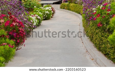 Walkway in flower garden in summer time. View of Colourful Flowerbeds in a good care maintenance landscapes and asfalt concrete walkway. Nobody, street photo, selective focus, blurred Royalty-Free Stock Photo #2203160523