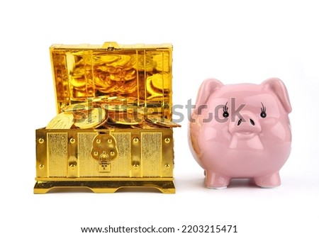 piggy bank with a chest full of coins on white