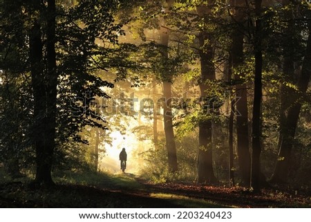 The man is riding a bicycle along a forest path on a foggy autumn morning.