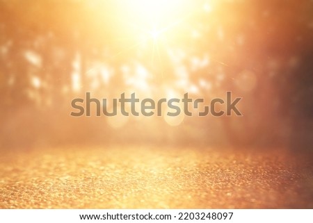 blurred abstract photo of light burst among trees and glitter bokeh lights