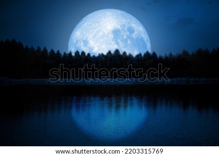 The blue sky at the full moon over the shadows of the trees by the river. calm nature background NASA's Moon