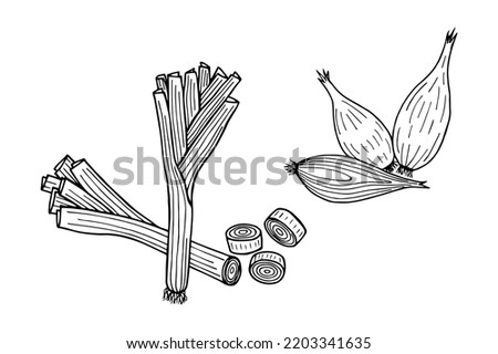  Set of leeks and shallots. Vector stock illustration eps10. Outline, isolate on white background. Hand drawn. Royalty-Free Stock Photo #2203341635