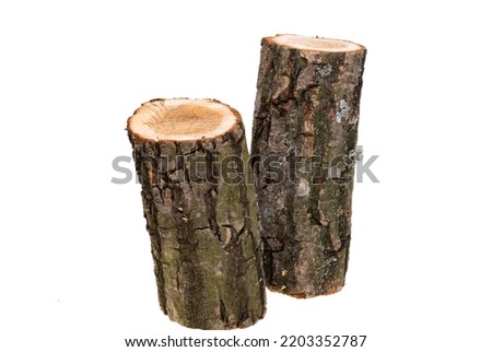 Oak firewood isolated on white background