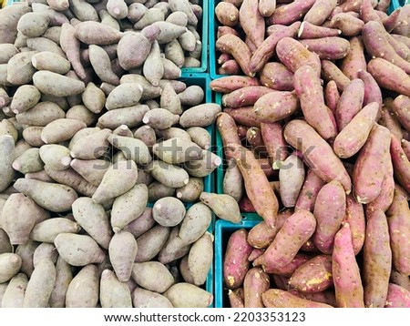 Fresh organic sweet potatoes group in the container for sale in the big market center in Bangkok Thailand. Ingredient for cooking food, good benefits and high vitamins for healthy.