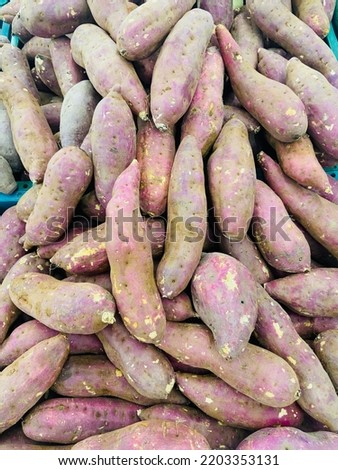 Fresh organic sweet potatoes group in the container for sale in the big market center in Bangkok Thailand. Ingredient for cooking food, good benefits and high vitamins for healthy.