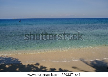 View of a clean sandy beach on a sunny day. A place by the sea that is usually visited on vacation or holiday.
