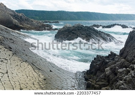 shore in natural lava causeway, sea surf among coastal rocks overlooking the distant shore Royalty-Free Stock Photo #2203377457