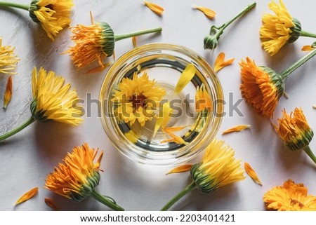 Homemade Calendula infused oil in a bowl, marigold flowers on white background, herbal medicine flat lay