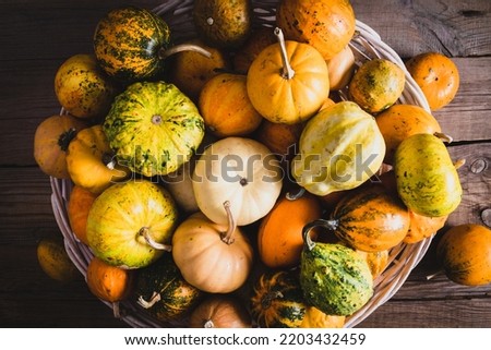 Colorful varieties of pumpkins and squashes on rustic wooden background. Colorful pumpkin background. Flat lay, top view, copy space Royalty-Free Stock Photo #2203432459