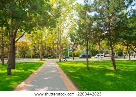 city park in day, beautiful nature, trees and lawns, late summer and early autumn season, the path of paving slabs, urban architecture, street and random people Royalty-Free Stock Photo #2203442823