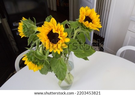 Sunflower bouquet into vase on white home kitchen table 