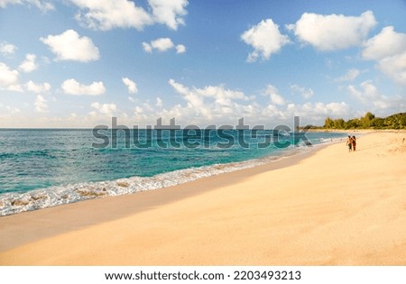 Hawaian tranquil and beautiful beach