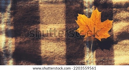 Autumn warm background with yellow maple leaf on the plaid, top view
