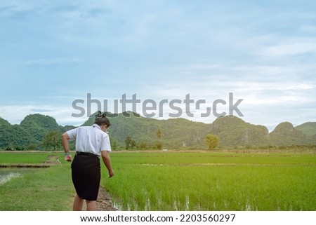 Young female agricultural student wear face mask in uniform study and check rice plants in paddy fields. Asian young woman researcher monitoring quality of rice in farmland. Agriculture study concept.