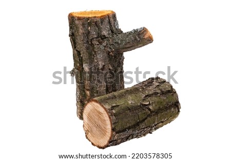Oak firewood isolated on white background