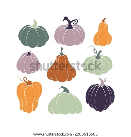Pumpkin of various shapes and colors. Thanksgiving and Halloween Elements.