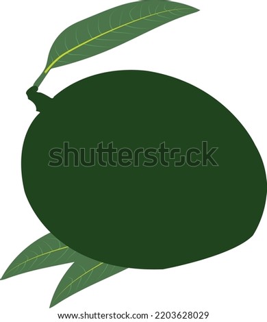 Beautiful Mango Fruit Vector artwork. This is an eps vector file.