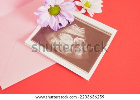 chrysanthemum flowers and snapshot of an ultrasound scan in envelope on a red background pregnancy and motherhood concept, conscious parenthood, the joy of having a child in the family