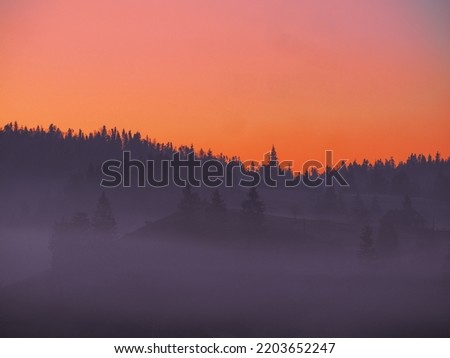 Carpatian mountains at the fog  Royalty-Free Stock Photo #2203652247