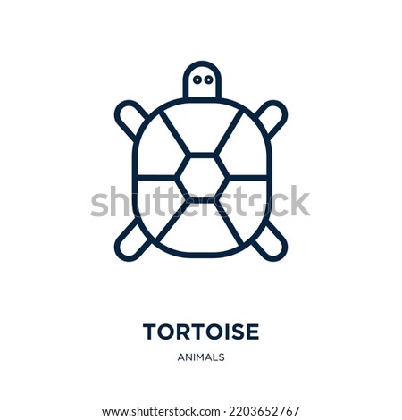 tortoise icon from animals collection. Thin linear tortoise, animal, turtle outline icon isolated on white background. Line vector tortoise sign, symbol for web and mobile