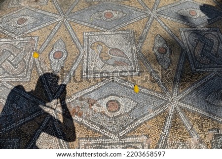Mosaic with colorful decorative patterns