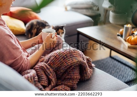 Close up woman in plaid holding cup of tea or coffee, watching movie, TV with multicolored cat on the sofa at home, decorated for fall holidays. Cozy and comfortable autumn concept. Selective focus.