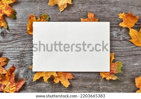 Blank banner and autumn leaves